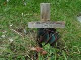 image of grave number 820029